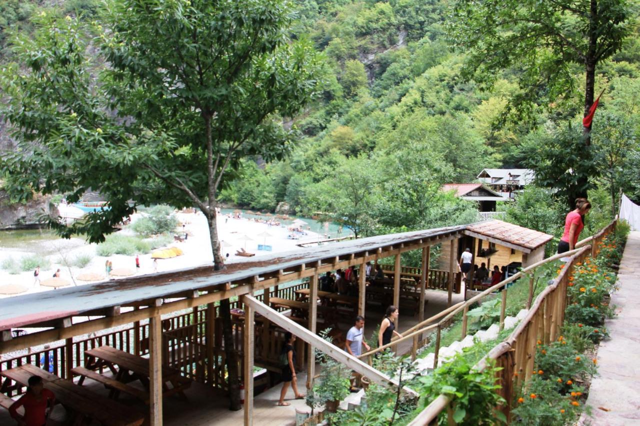 Bee Eco Guest House Moll' e Shoshit Exterior foto
