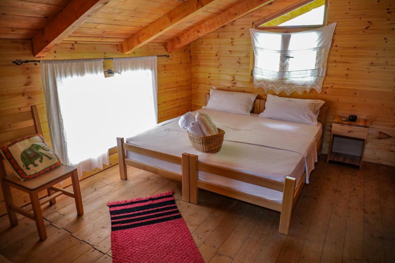 Bee Eco Guest House Moll' e Shoshit Exterior foto