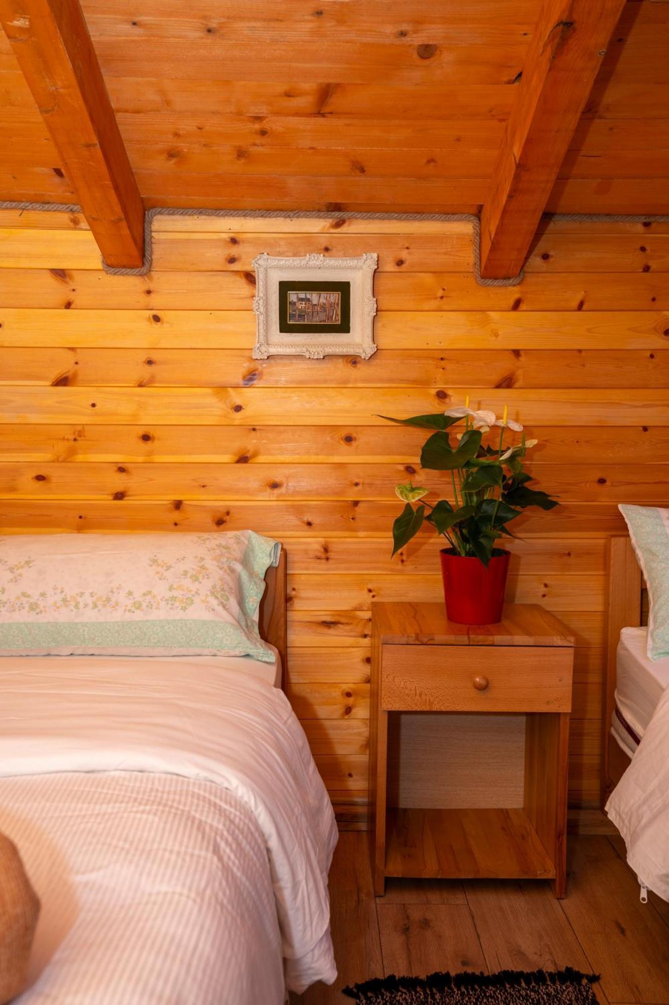 Bee Eco Guest House Moll' e Shoshit Exterior foto